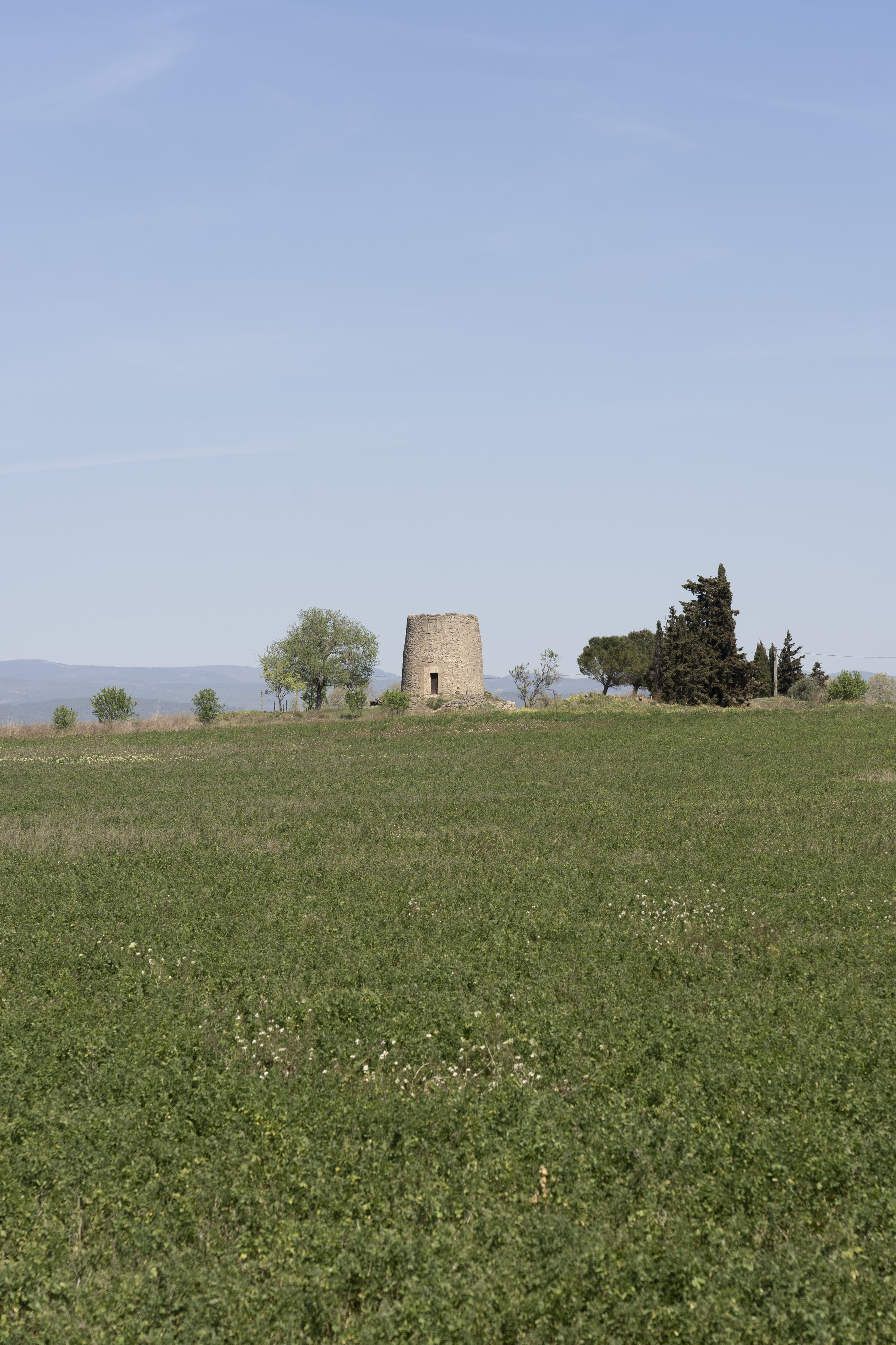 Fraude dans le vignoble : un millésime relevé à l'acide sulfurique