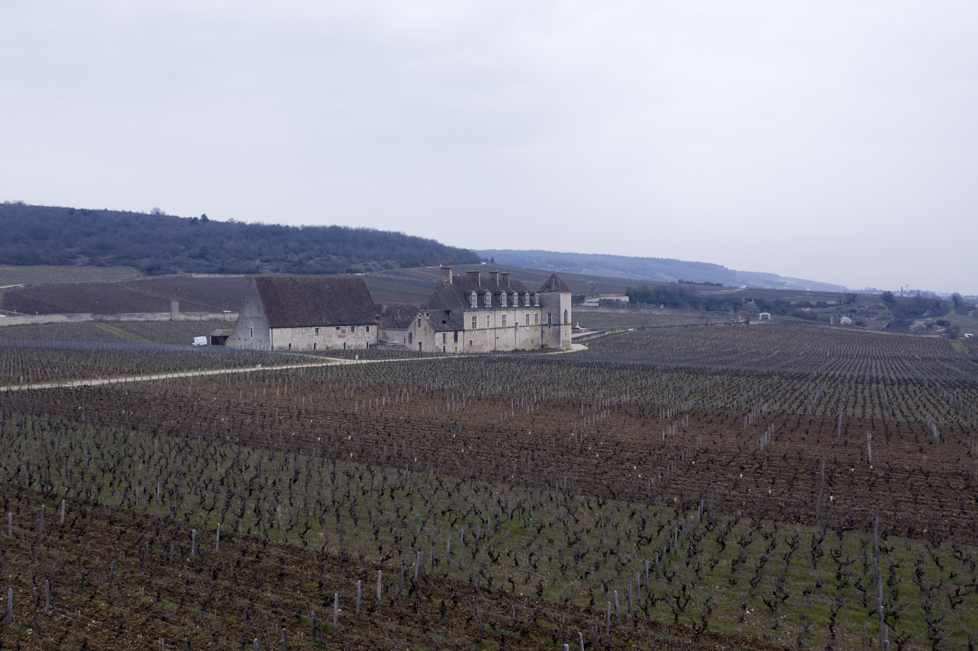 Clos Vougeot