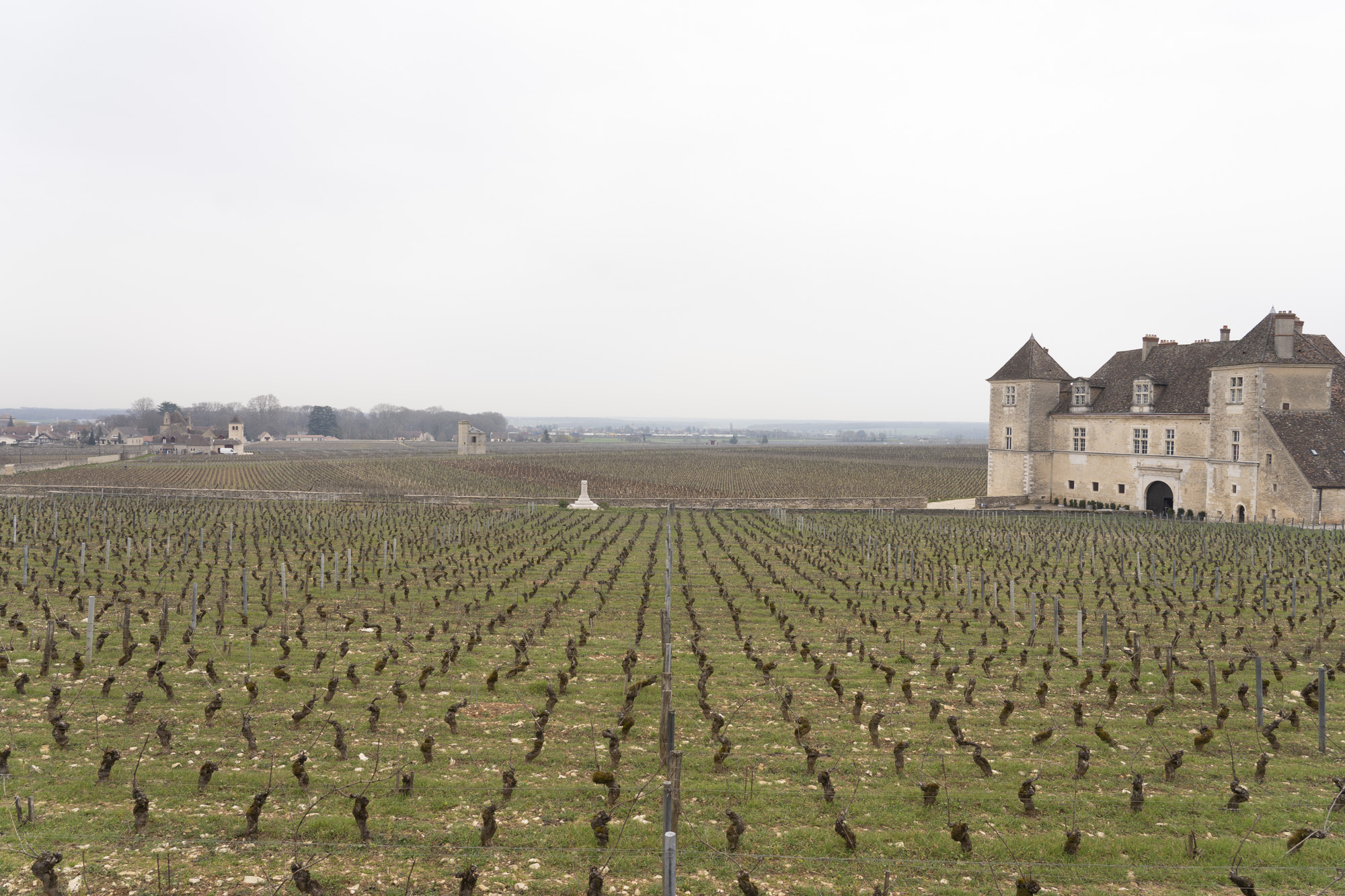 Clos Vougeot