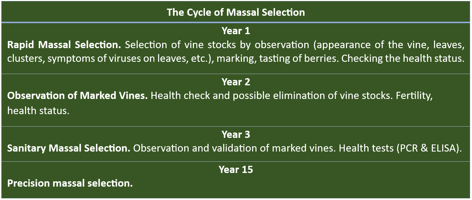Massal selection cycle