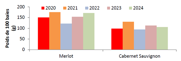 Millésime 2024 à Bordeaux - Pr Laurence GENY, Elodie GUITTARD, Dr Valérie LAVIGNE et Pr Axel MARCHAL Institut des Sciences de la Vigne et du Vin de l’Université de Bordeaux, Unité Mixte de Recherche Œnologie