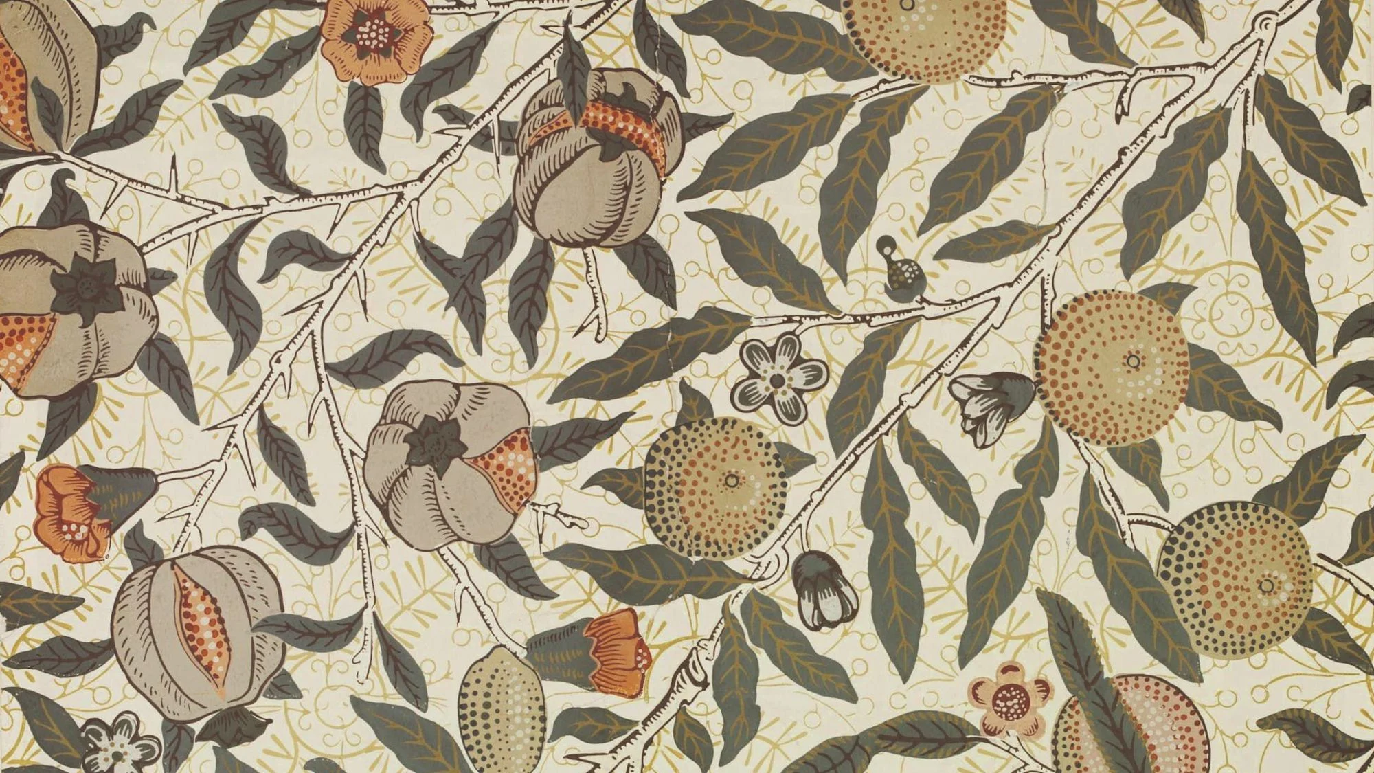 Datant de 1865-1866, "Fruits" est un papier peint de Morris&Co. Victoria and Albert Museum, London
