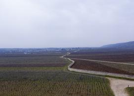 Une brève histoire de la Bourgogne