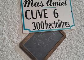 Mas Amiel