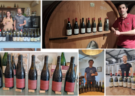 Châteauneuf : 5 domaines à leur apogée !