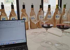 Horizontal tasting Châteauneuf 2012: the lesson by the great forgotten