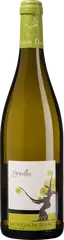Vignoble Réthoré Davy - Val-de-Loire - Sauvignon Blanc
