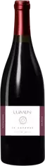 Mas Lumen - In Amphora
