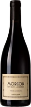 Domaine des Terres Dorées - Morgon - Côte du Py Javernières
