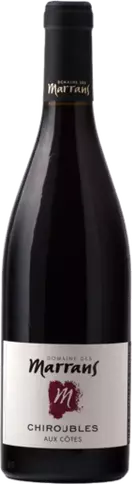 Domaine des Marrans - Chiroubles - Aux Côtes