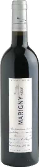 Ampelidae - Val-de-Loire - Marigny-Neuf Pinot Noir