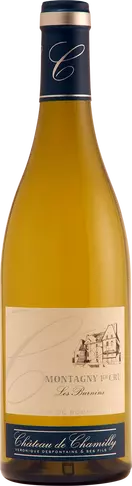 Château de Chamilly - Montagny-Premier-Cru - Les Burnins